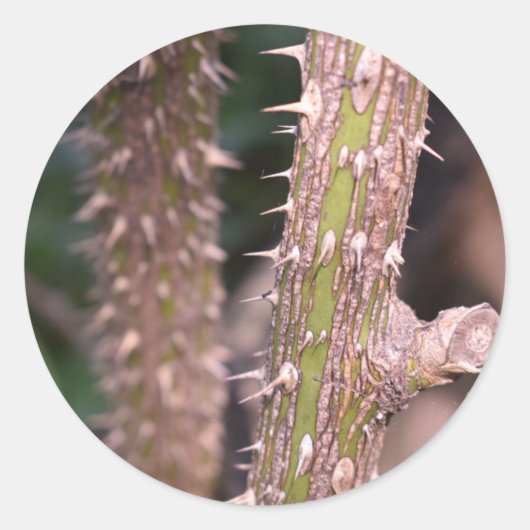 プラントステムソーンズ自然パーク写真 ラウンドシール (正面)