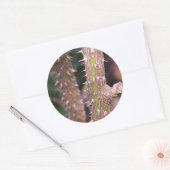 プラントステムソーンズ自然パーク写真 ラウンドシール (封筒)