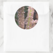 プラントステムソーンズ自然パーク写真 ラウンドシール (バッグ)