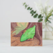 プラントチキンのポストカード ポストカード (スタンド正面)