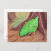 プラントチキンのポストカード ポストカード (正面/裏面)