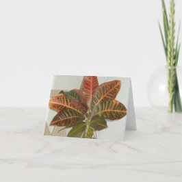 プラントフォトカ空白のード シーズンカード