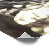 プラントフォトポスター ポスター (角)