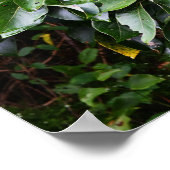 プラントフォトポスター ポスター (角)