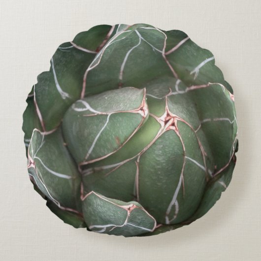 プラントブラシ仕上げポリエステルラウンドスロークッション ラウンドクッション (正面)