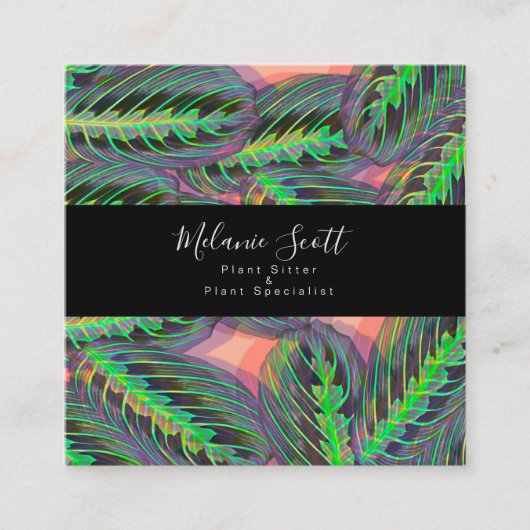 プラントマランタ祈りの言葉カラテアイラストレーション スクエア名刺 (正面)