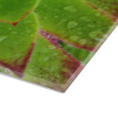 プラントラバーエオニウム魔法 カッティングボード (角)