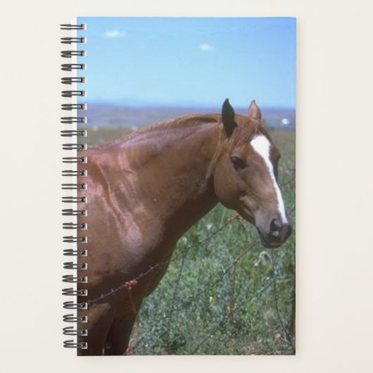 プランナー馬の写真ウマ科の馬の牧草地のシーン プランナー手帳 (正面)