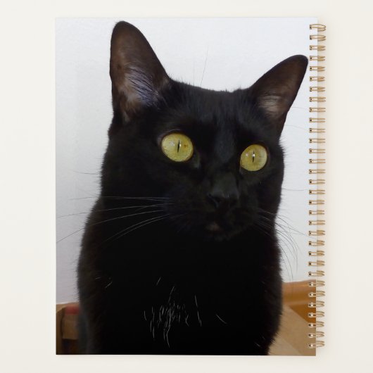 プランナー (裏面)