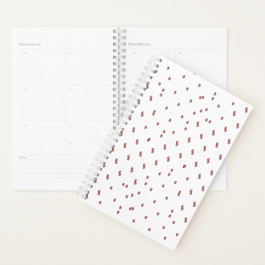 プランナー (ディスプレー)