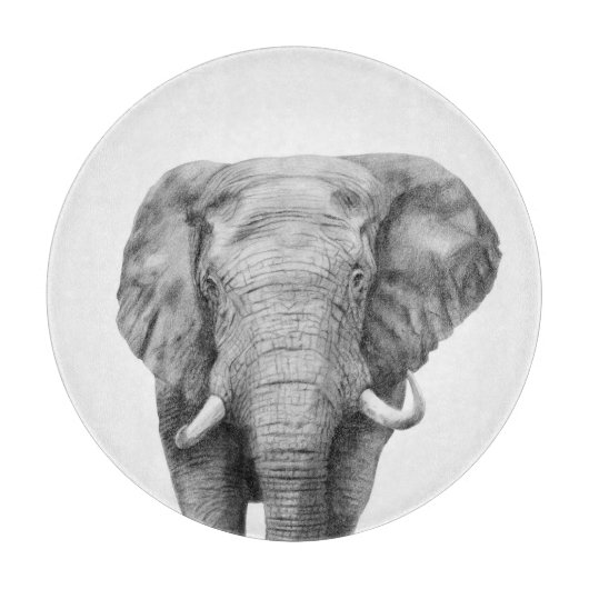 プランIVのバックアップ カッティングボード (正面)