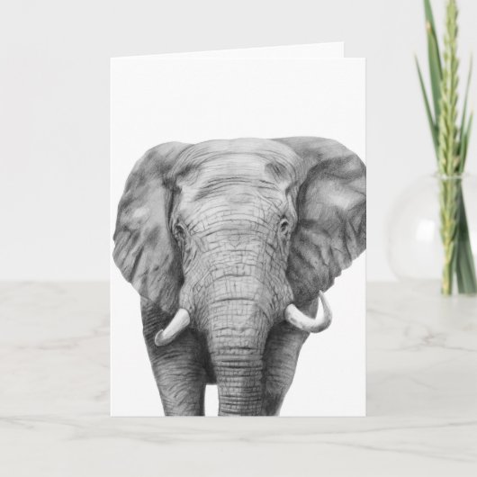 プランIVのバックアップ カード (正面)