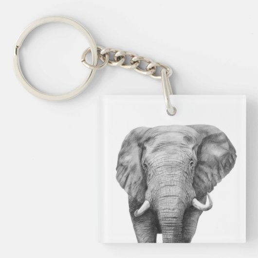 プランIVのバックアップ キーホルダー (正面)