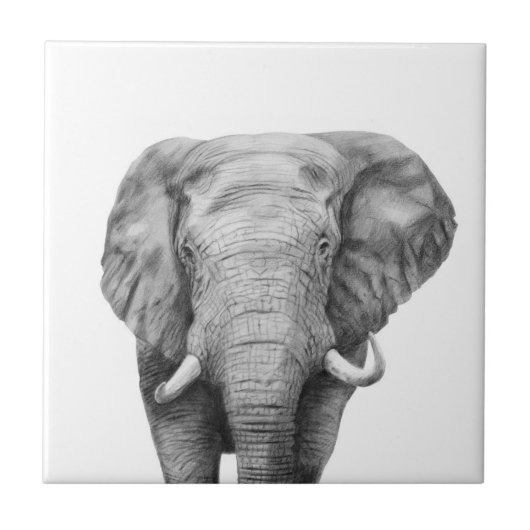 プランIVのバックアップ タイル (正面)