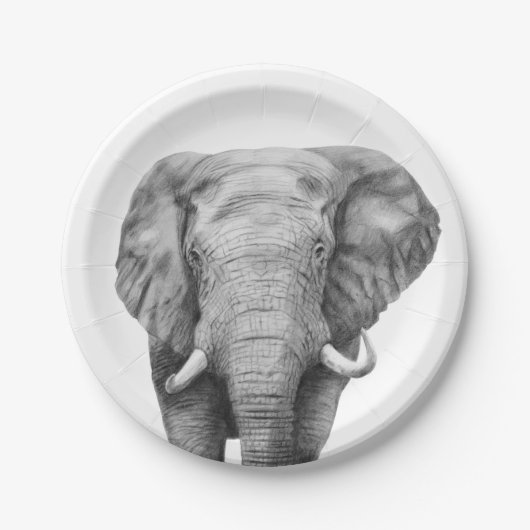 プランIVのバックアップ ペーパープレート (正面)