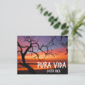 プラヴィダコスタリカビーチサンセット ポストカード (スタンド正面)