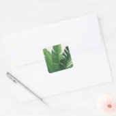 プラヴィダ – トロピカルア葉イズ スクエアシール (封筒)