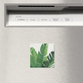 プラヴィダ – トロピカルア葉イズ マグネット (インサイチュ (食洗機))