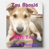 プラーク (正面)