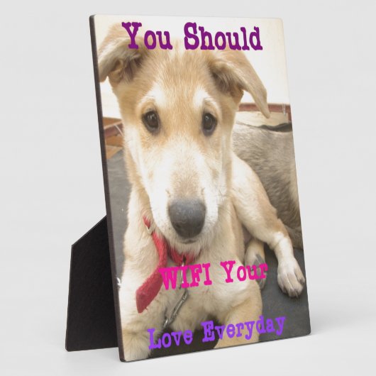 プラーク (側面)