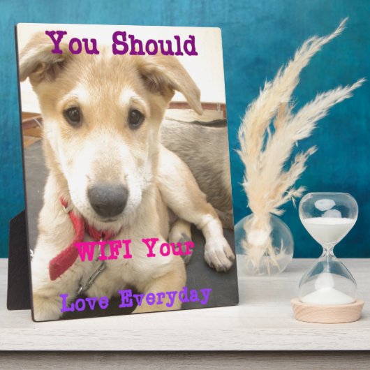 プラーク (側面)