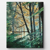 プラーク – 'スケッチ近く' (正面)