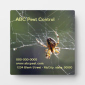 プラーク – スパイダー (正面)