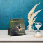 プラーク – スパイダー (インサイチュ)