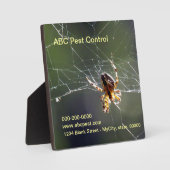 プラーク – スパイダー (正面)