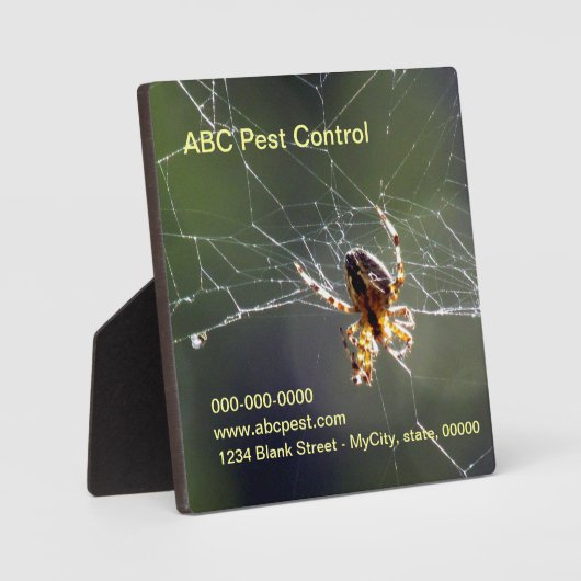 プラーク – スパイダー (正面)