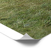 プラージュエンエテ ポスター (角)