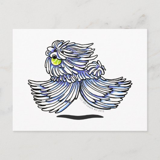 プリよくはしゃぐコモンドー ポストカード (正面)