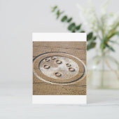 プリアデス・フロックスフィールドのミステリーサークル姉妹1994 ポストカード (スタンド正面)