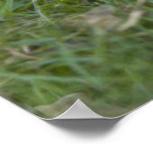 プリクルスプリント ポスター (角)