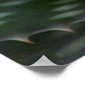 プリックリーアロエヴェラ ポスター (角)