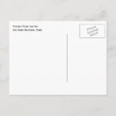 プリックリーナサボテン大きな曲げ ポストカード (裏面)