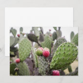プリックリー·ナシ·サボテンのクローズアップ サンキューカード (正面/裏面)