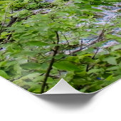 プリツヴィツェ湖公園の滝の滝の滝 ポスター (コーナー)