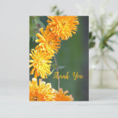 プリティーゼニア フラワル サンキューカード (スタンド正面)