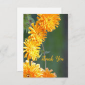 プリティーゼニア フラワーリング サンキューカード (正面/裏面)