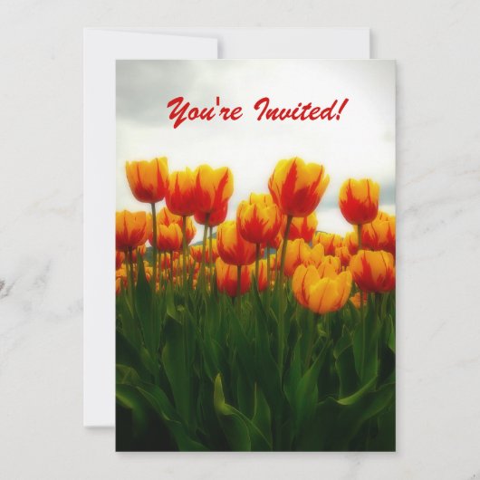 プリティー チューリップ パーティー ご招待 招待状 (正面)
