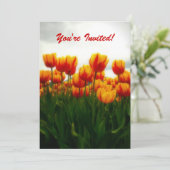 プリティー チューリップ パーティー ご招待 招待状 (スタンド正面)