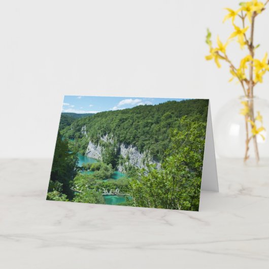 プリトヴィツレイククロアチア景観写真 カード (黄色い花)