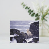 プリビロフ島油スピル、M/V柑橘類1996北極 ポストカード (スタンド正面)