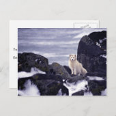 プリビロフ島油スピル、M/V柑橘類1996北極 ポストカード (正面/裏面)