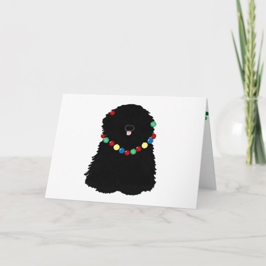 プリホリデーカード カード (正面)