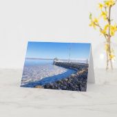 プリマウスヨットクラブ深いフリーズ2022 カード (黄色い花)