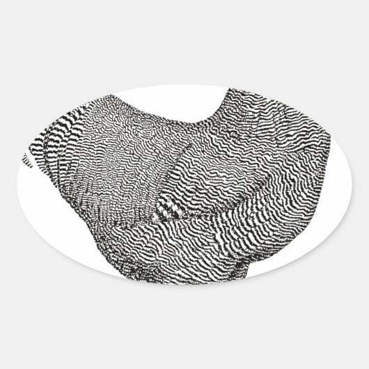 プリマウスロックチキンスケッチ 楕円形シール (正面)