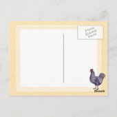 プリマスのロックルースターヴィンテージ市場家禽 ポストカード (裏面)