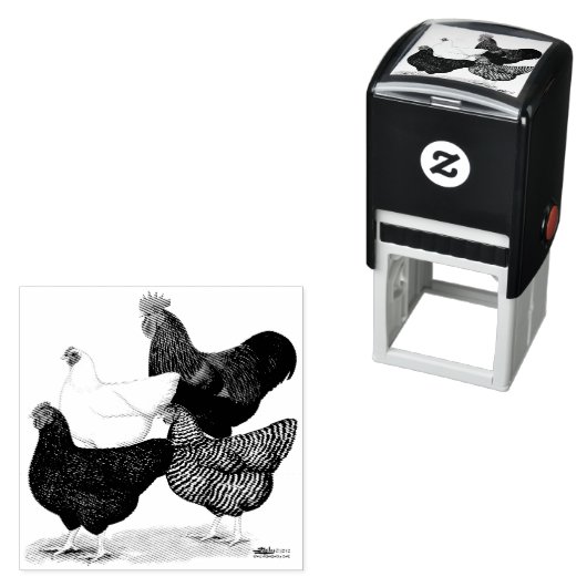 プリマス・ロック・カルテット セルフインキングスタンプ (インサイチュ)